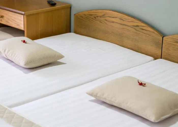 Hotel Europe
